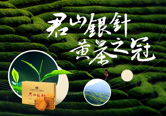 君山产品